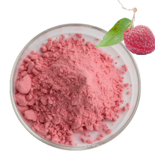 Manufactory Supply Litchi Fruit Powder Litchi Juice Extract Powder